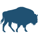 Animal Image-Bison