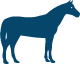 Animal Image-Horse